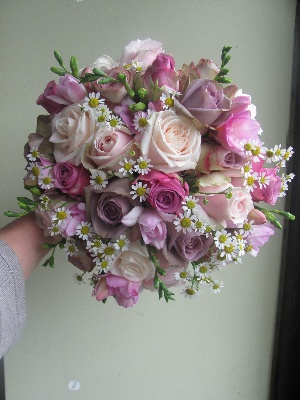 Daisies amongst the roses