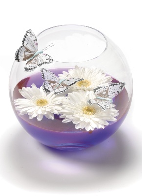 Floating Gerbera with butterflies