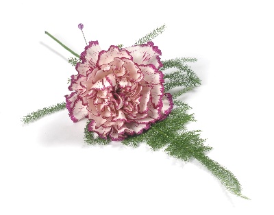 Carnation buttonhole