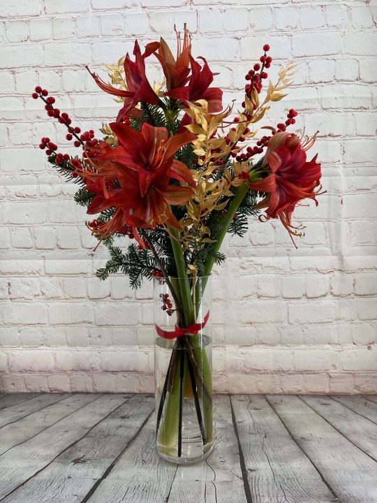 Amaryllis Festive Vase