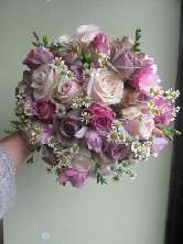 Daisies amongst the roses