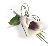 Calla buttonhole