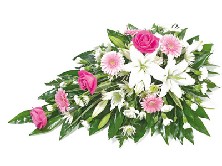Pink and White Spray