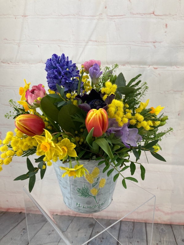 Spring Tin